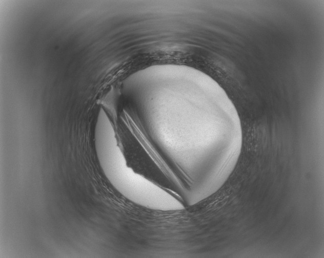 X0000053151013200508081405