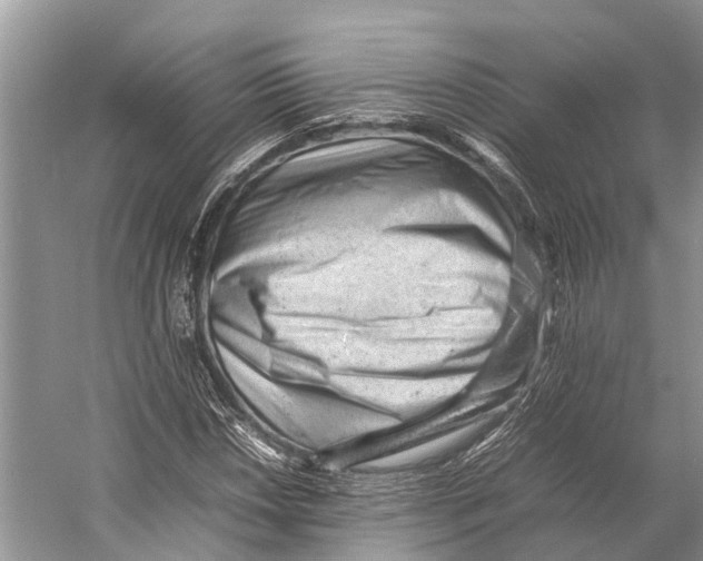 X0000053151018200508081405