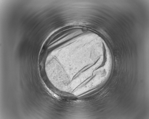 X0000053151020200508081405