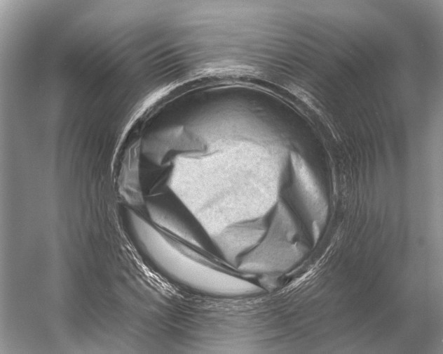 X0000053151022200508081405