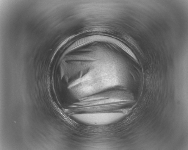 X0000053151024200508081405