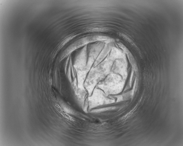 X0000053151025200508081405