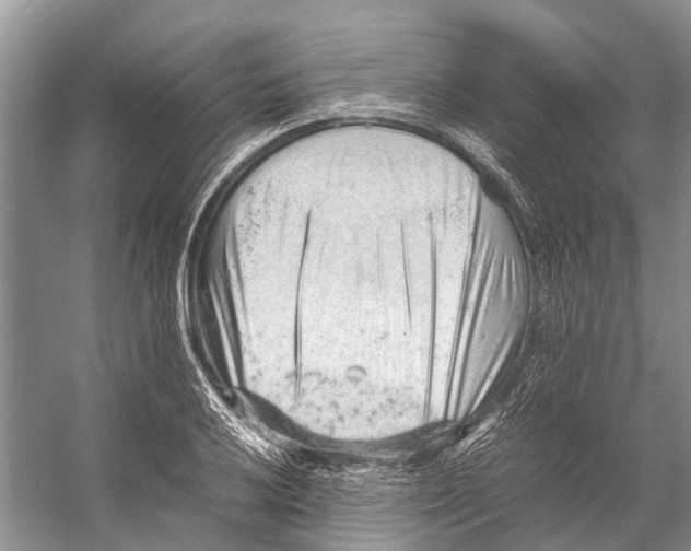 X0000053151032200508081405