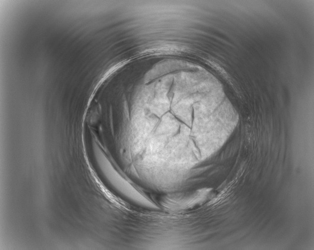 X0000053151034200508081405