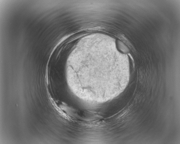 X0000053151036200508081405