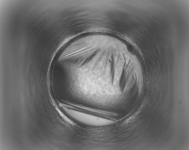 X0000053151037200508081405