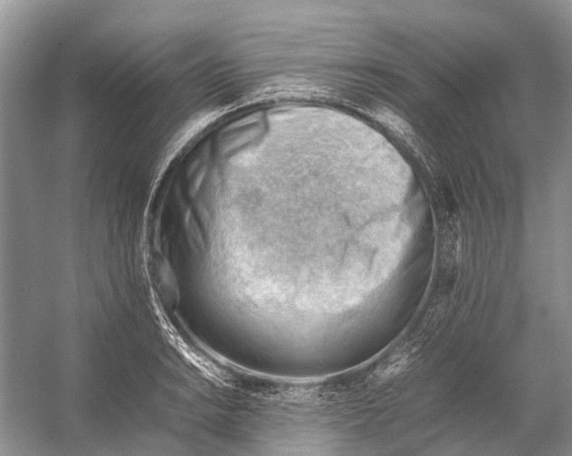 X0000053151038200508081405