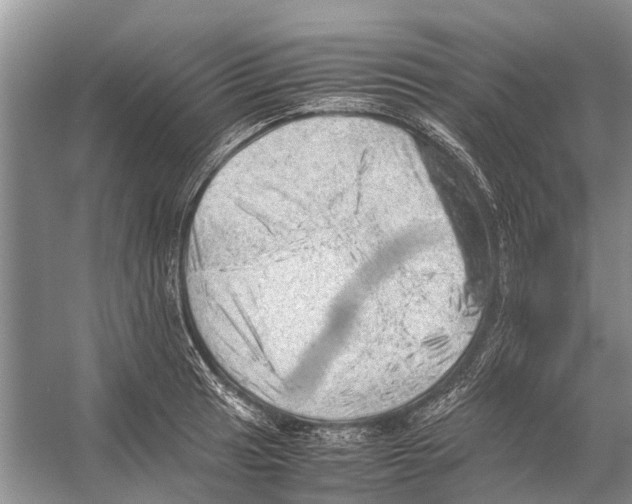 X0000053151041200508081405