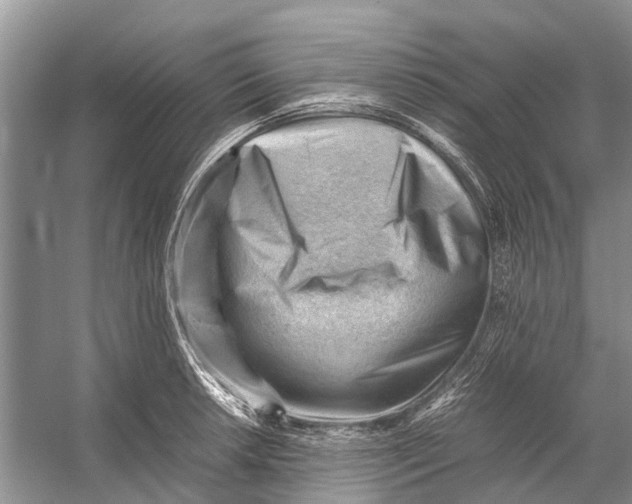 X0000053151042200508081405