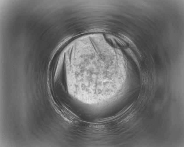 X0000053151043200508081405