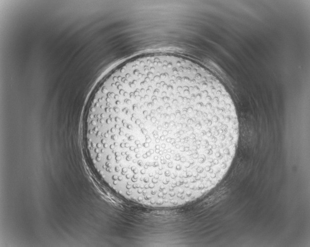 X0000053151044200508081405