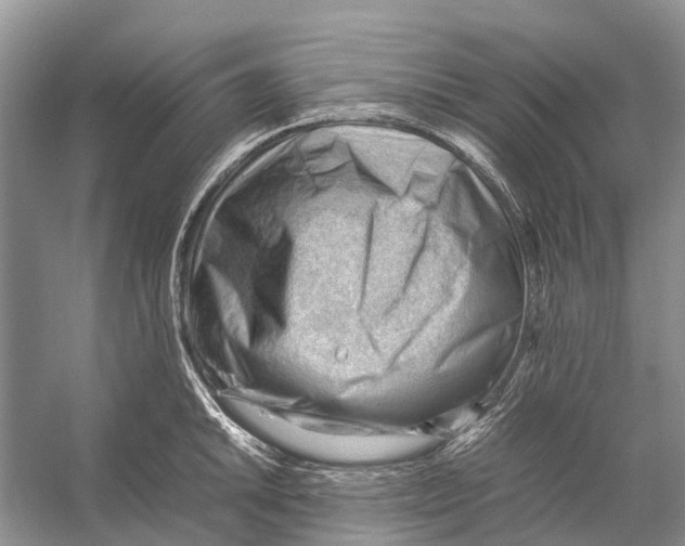 X0000053151046200508081405