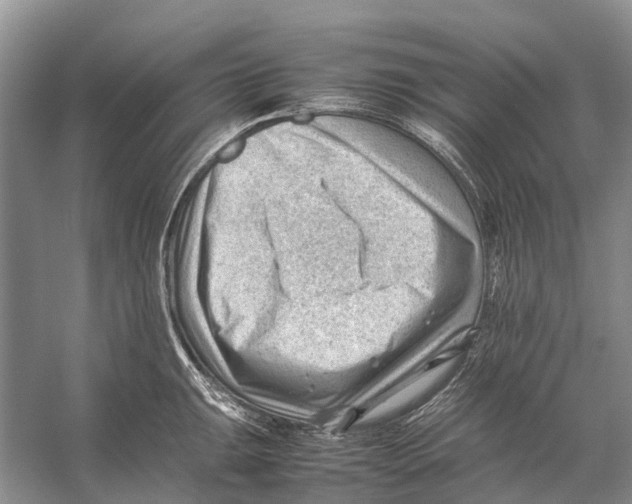 X0000053151047200508081405