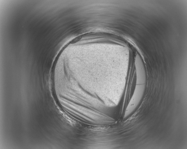 X0000053151048200508081405