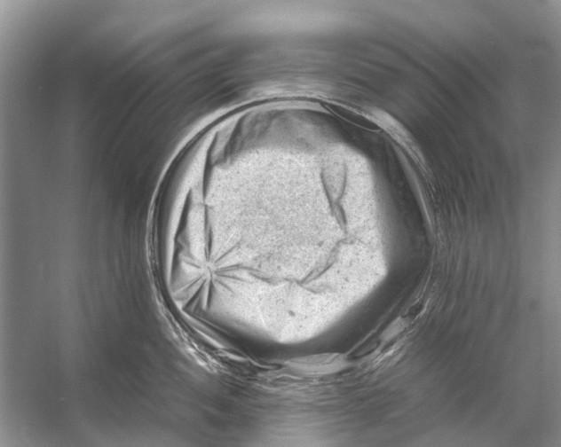 X0000053151052200508081405