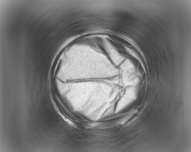 X0000053151053200508081405