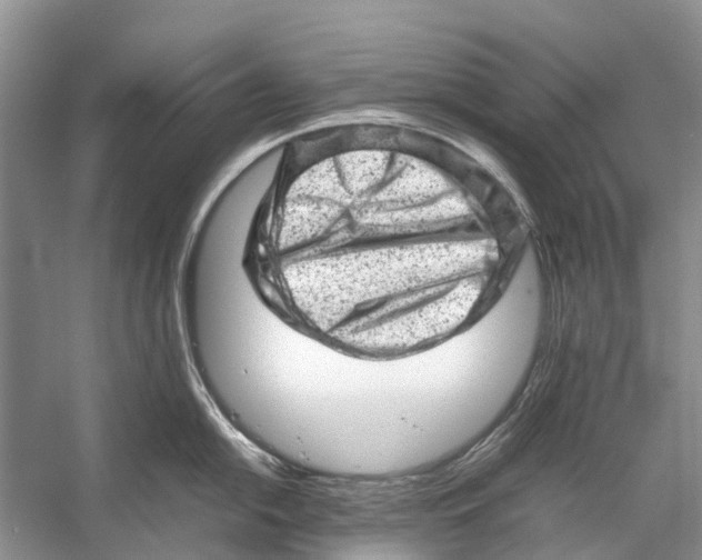 X0000053151054200508081405