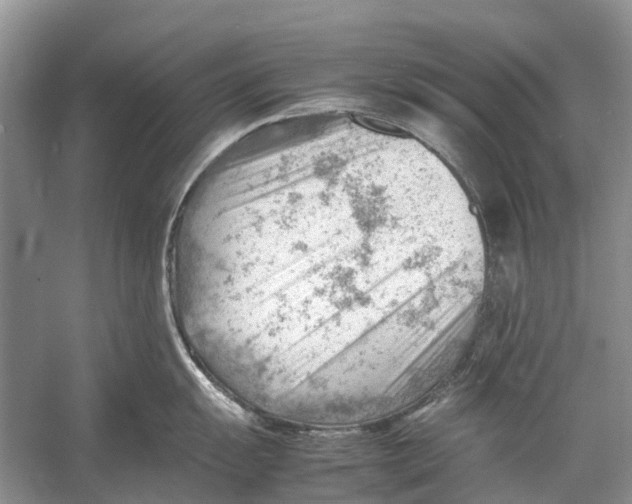 X0000053151055200508081405