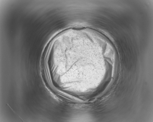 X0000053151056200508081405