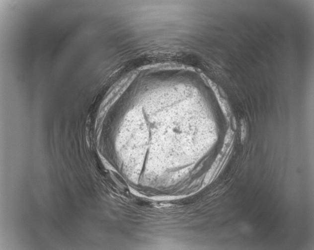 X0000053151059200508081404