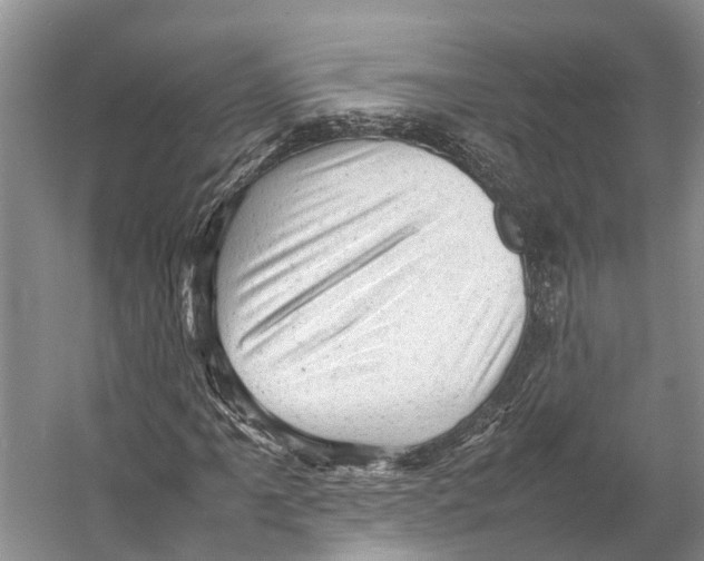 X0000053151061200508081404