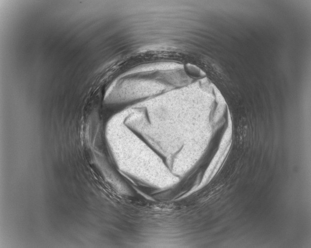 X0000053151062200508081404