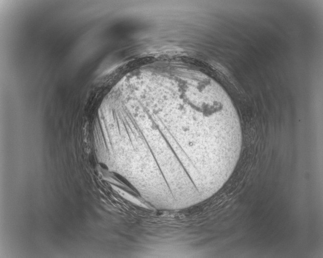 X0000053151063200508081404