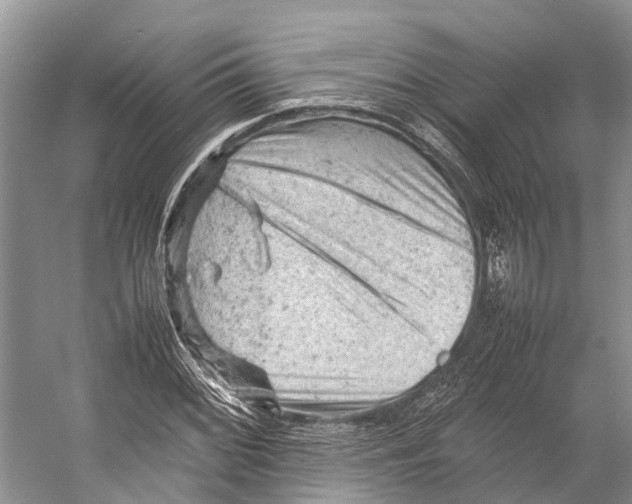 X0000053151068200508081404