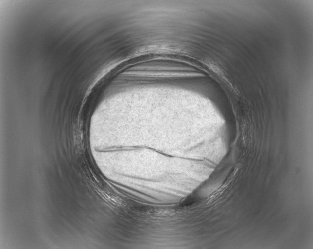 X0000053151070200508081404