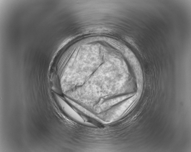 X0000053151071200508081404