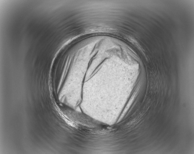 X0000053151072200508081404