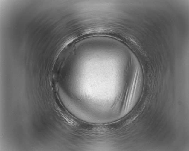 X0000053151073200508081404