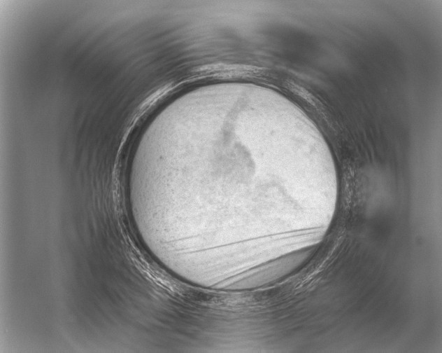 X0000053151074200508081404