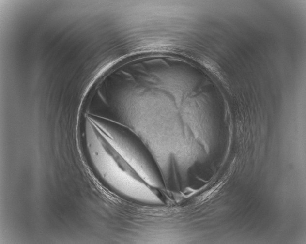 X0000053151077200508081404