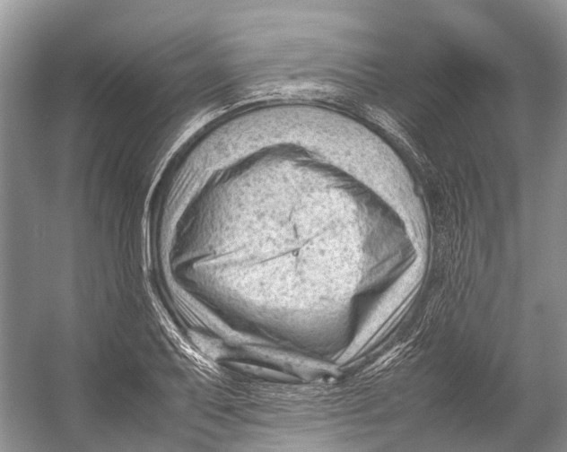 X0000053151079200508081404