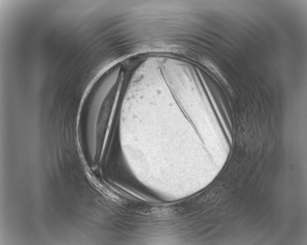 X0000053151080200508081404