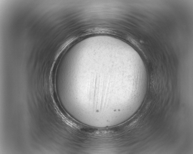 X0000053151082200508081404