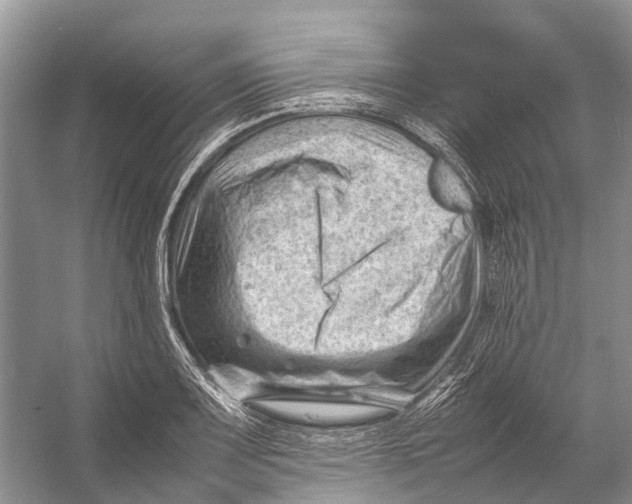 X0000053151083200508081404