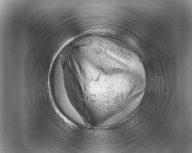 X0000053151084200508081404