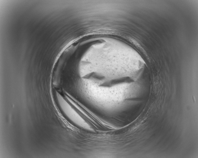 X0000053151085200508081404