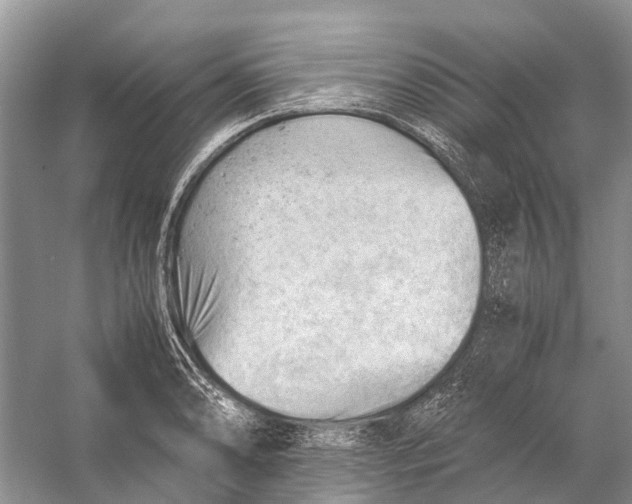 X0000053151086200508081404