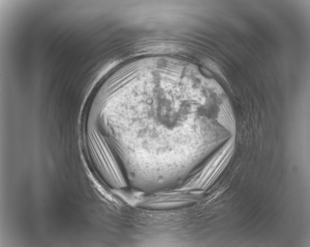 X0000053151087200508081404