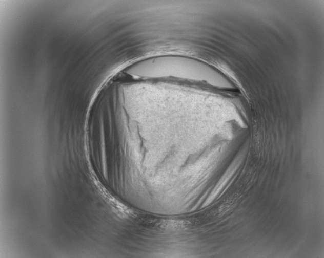 X0000053151088200508081404