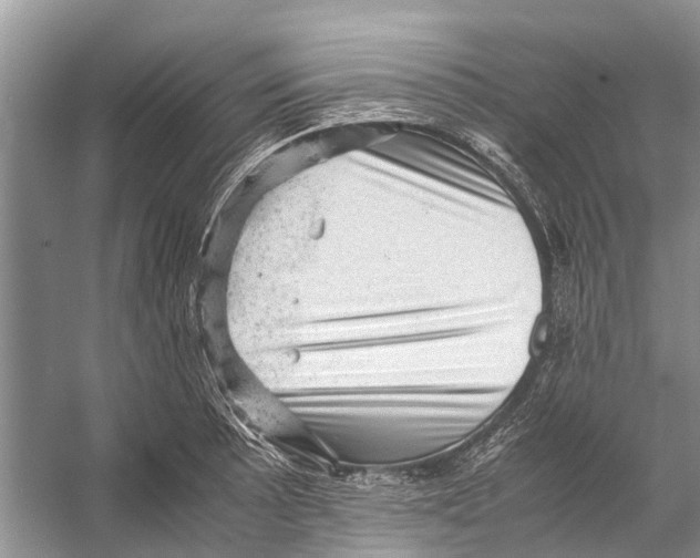 X0000053151089200508081404