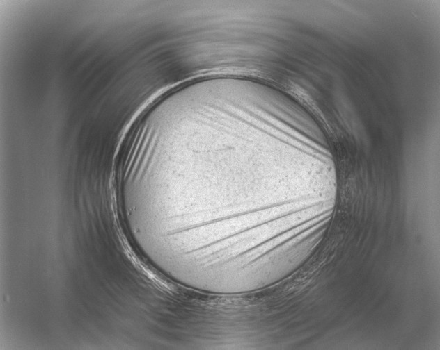 X0000053151092200508081404