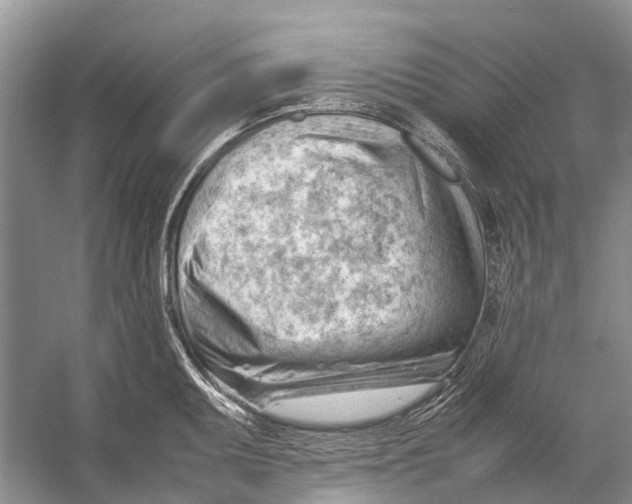 X0000053151095200508081404