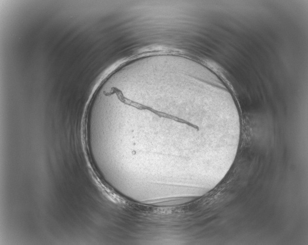 X0000053151098200508081404