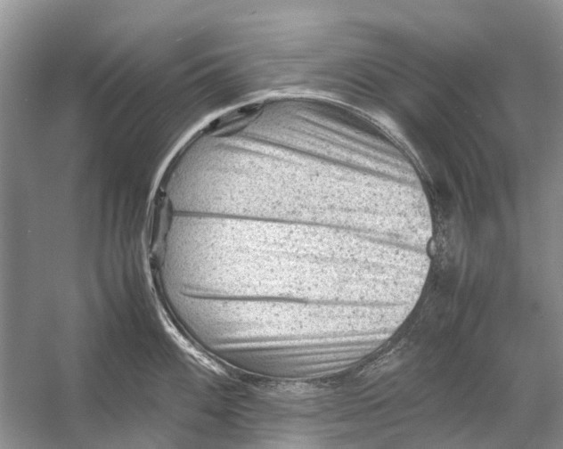 X0000053151100200508081404