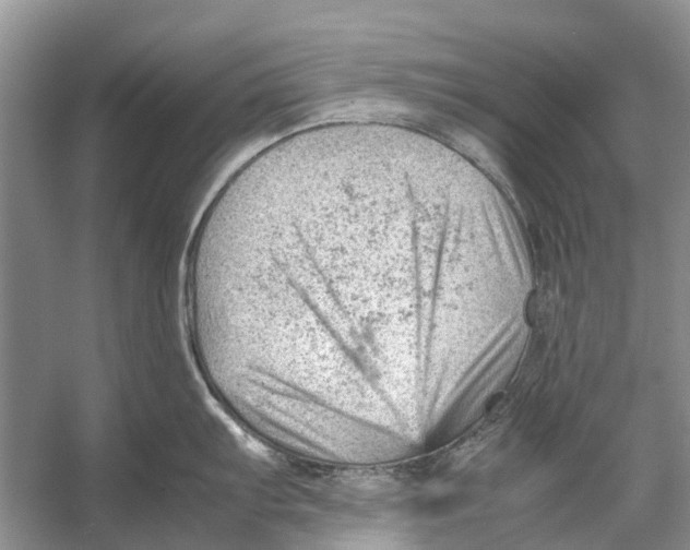 X0000053151103200508081404