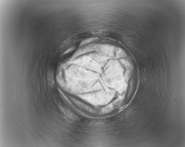 X0000053151106200508081403